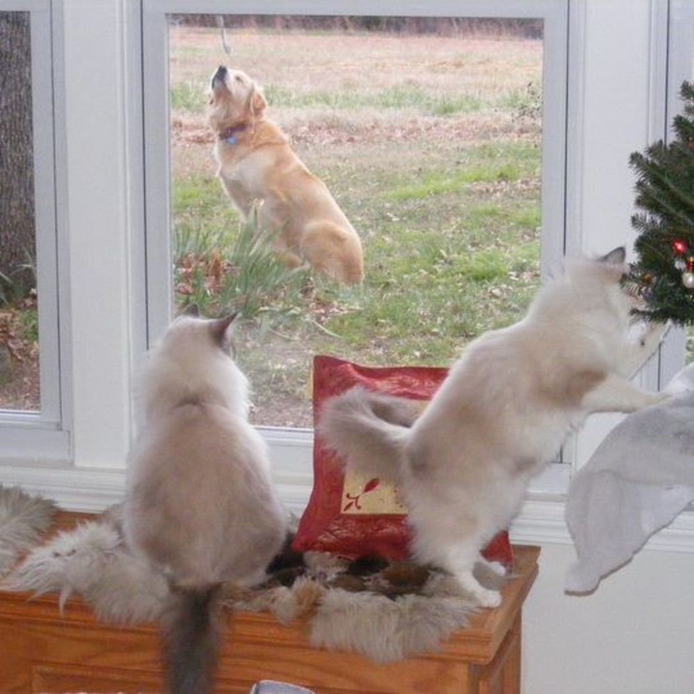 Meet your Posher, Cathy